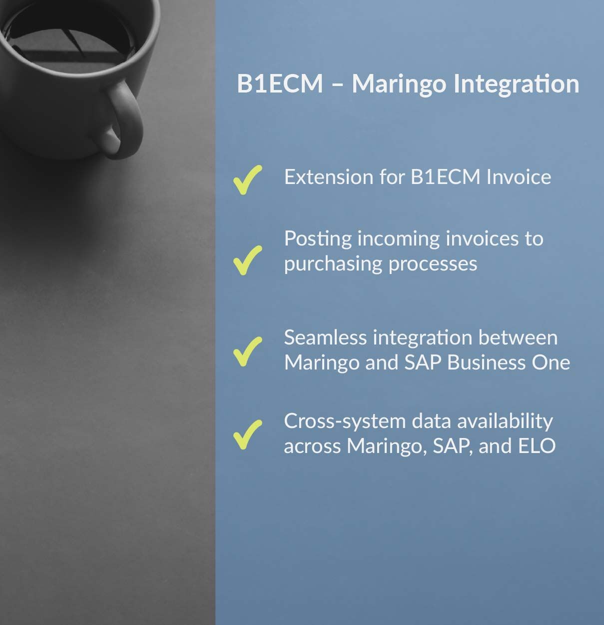Maringo_integration