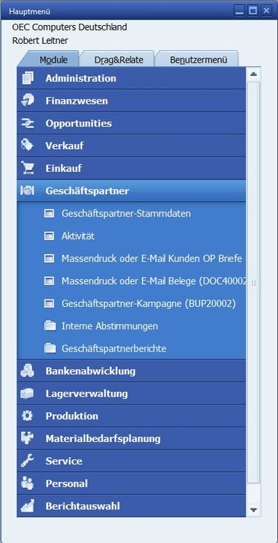 SAP Business One business partner