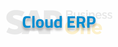 Cloud ERP for medium-sized companies
