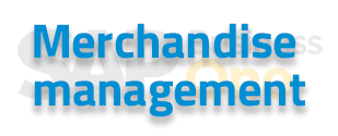 SAP B1 solution merchandise management