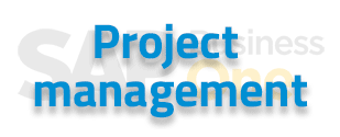 SAP B1 solution project management