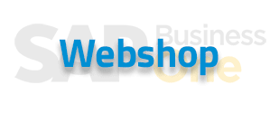 SAP B1 solution web shop